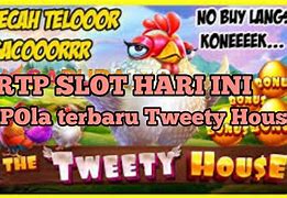 The Tweety House Slot Hari Ini Live Draw